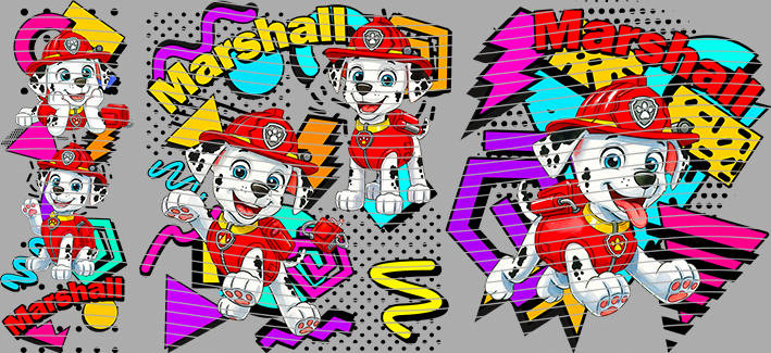 16oz Disney style-D-2561